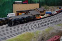 WMK_8741