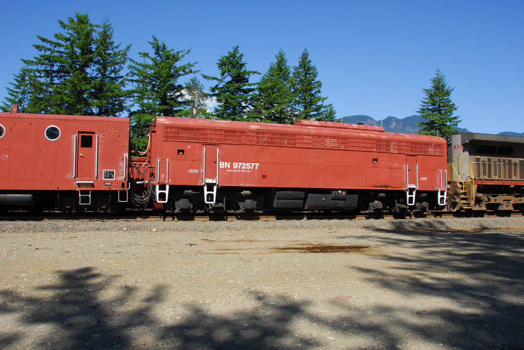WMK_4451W