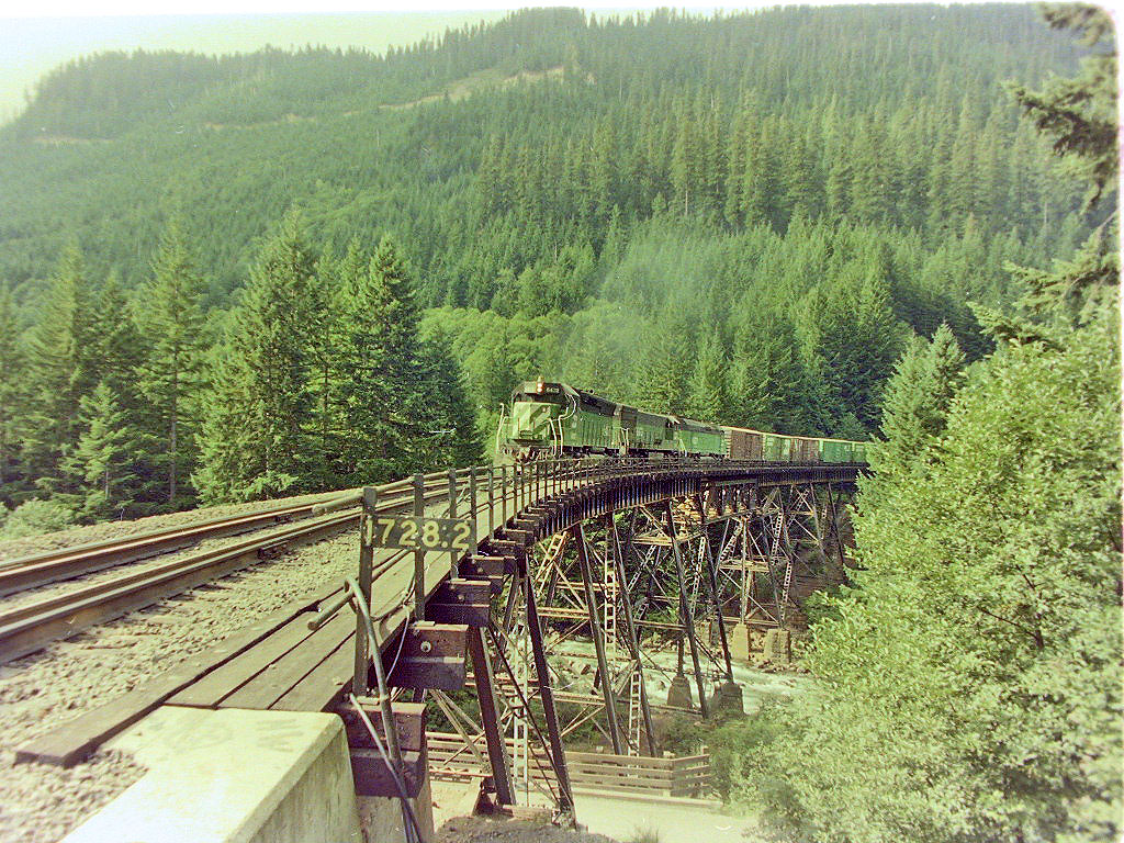 DSCN0702A
