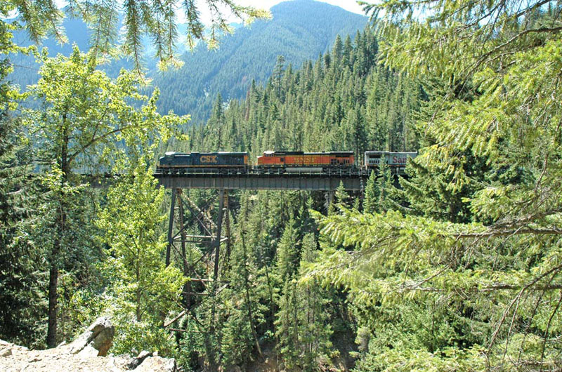 11-DSC_7172A