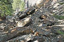04-DSC_8260A