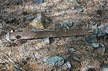 22-DSC_8257A