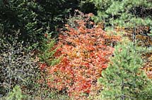 23-DSC_8293A