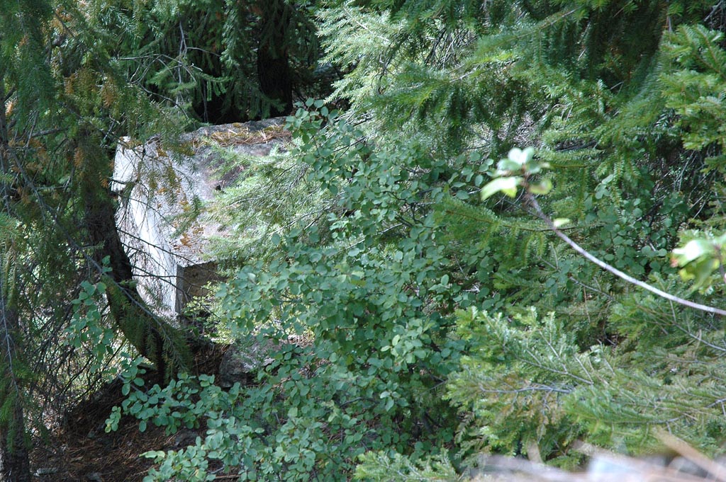 33-DSC_7972A