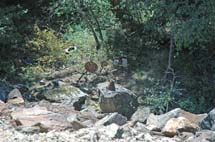 10-DSC_7188A