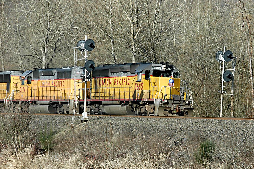 DSC_8912A