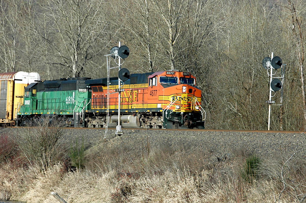 DSC_8929A