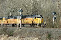 DSC_8912A