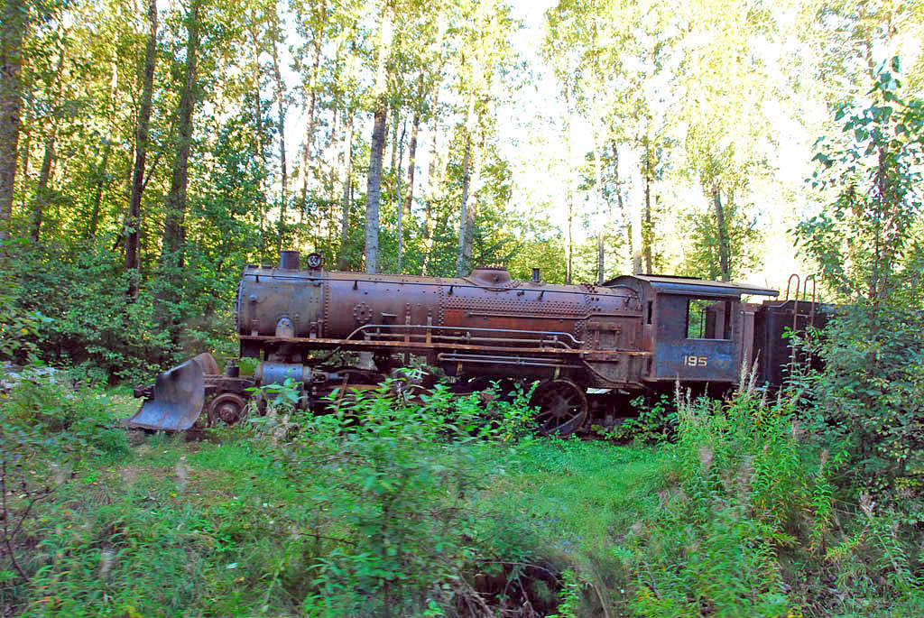 WMK_3131